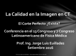 La Calidad en la Imagen en CT - Jorge Luis Euillades Profesor