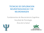 Neurofisio y Neuroimagen