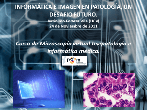 informática e imagen en patología, un desafio futuro. - e