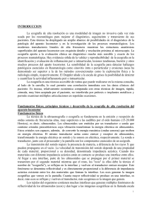 INTRODUCCION La ecograf&iacute;a de alta resoluci&oacute;n es una modalidad