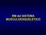 RMN del Sistema Musculoesquelético