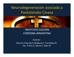 Neurodegeneración asociada a Pantotenato Cinasa