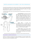 centellografía de riñón y de vías urinarias