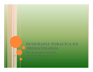Ecograf&iacute;a Tor&aacute;cica