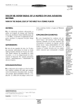 MEDEP 0192005 Borde radial.p65 - Archivos de Medicina del Deporte