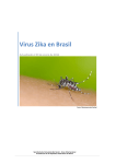Virus Zika en Brasil