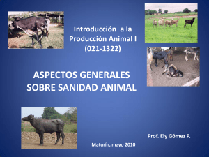 Diapositiva 1 - Sanidad Animal