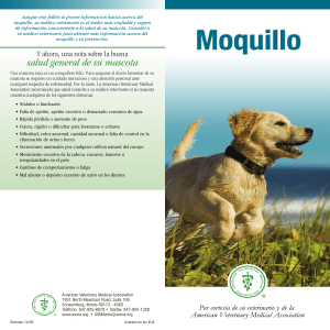 Canine Distemper (Spanish) - American Veterinary Medical