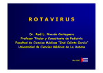 DIARREAS VIRALES ROTAVIRUS