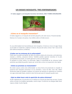El Aedes aegypti es el mosquito transmisor del DENGUE, ZIKA Y