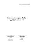 El dengue, el mosquito Aedes aegypti y la prevención