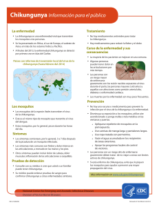 CDC Chikungunya: Información para el Público.