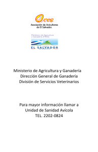 Ministerio de Agricultura y Ganadería Dirección General
