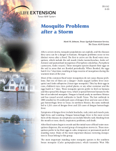 Mosquito Problems after a Storm