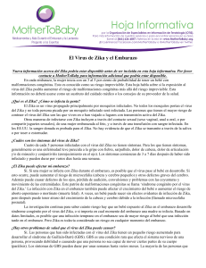 El Virus de Zika y el Embarazo | MotherToBaby