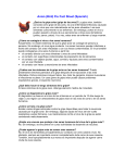 Avian (Bird) Flu Fact Sheet (Spanish)