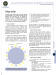 bird flufactsheet Spanish.qxd