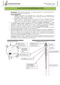 LA FUNCIÓN DE REPRODUCCIÓN