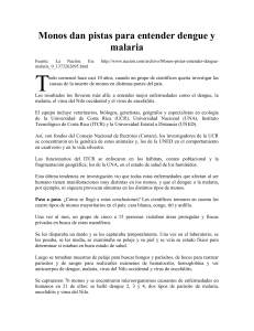 Monos dan pistas para entender dengue y malaria