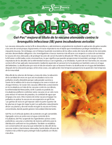 Gel-Pac® mejora el título de la vacuna atenuada contra la bronquitis