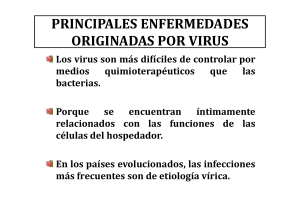 Enfermedades producidas por VIRUS