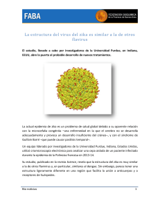 La estructura del virus del zika es similar a la de otros flavirus