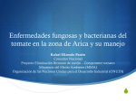 Enfermedades fungosas y bacterianas del tomate en la zona de