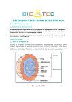 detección virus hepatitis b por pcr