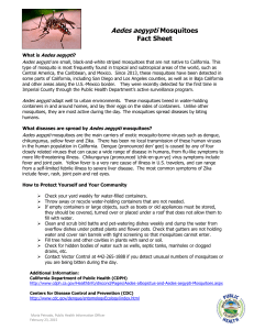 Aedes aegypti Mosquitoes Fact Sheet