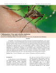 Chikungunya: Una nueva lucha comienza.