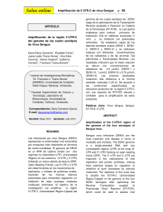 Salus online Amplificación de 5´UTR