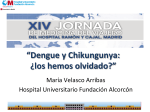 Dengue y Chikungunya: ¿los hemos olvidado?