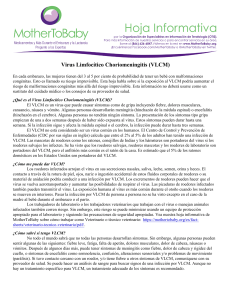 Virus Limfocítico Choriomeningitis (VLCM) | MotherToBaby