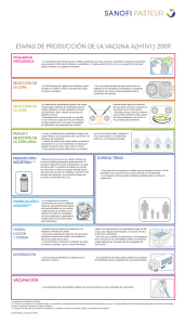 etapas de producción de la vacuna a(h1n1) 2009