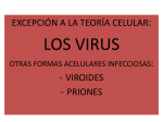 Tema 8 Los virus
