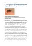 El Carlos III estudia 68 posibles casos importados del virus Zika, 6