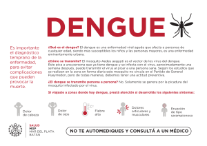 1095 dengue boletas