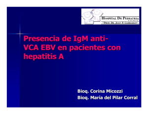 igm_a-vca-ebv_en_pac..