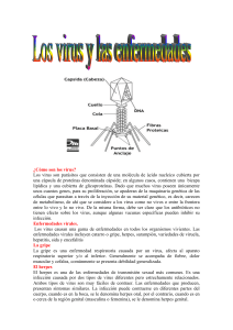 ¿Cómo son los virus? Los virus son parásitos que consisten de una