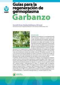 Garbanzo - Crop Genebank Knowledge Base