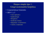 Herpes simple tipo 1: Gingivoestomatitis herpética