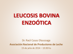 leucosis bovina enzoótica