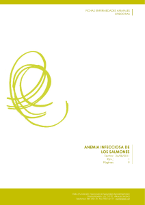 anemia infecciosa de los salmones