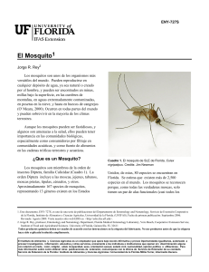 El Mosquito1 - University of Florida