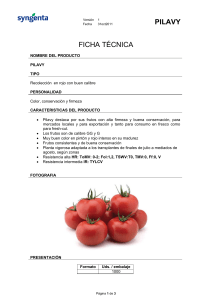 pilavy ficha técnica