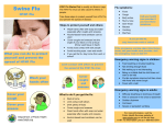 H1N1 Flu (Swine Flu) Brochure English
