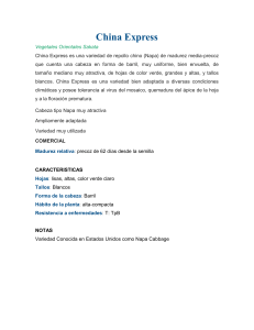 ficha t&eacute;cnica col china