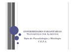 ENFERMEDADES PARASITARIAS Dpto.de Parasitología y