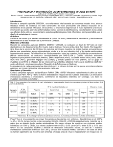 PROSPECCION DE 3 A&Ntilde;OS