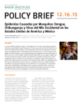 policy brief - Rice University`s Baker Institute for Public Policy